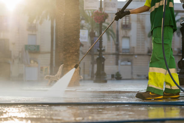 Best Driveway Pressure Washing  in Elsa, TX